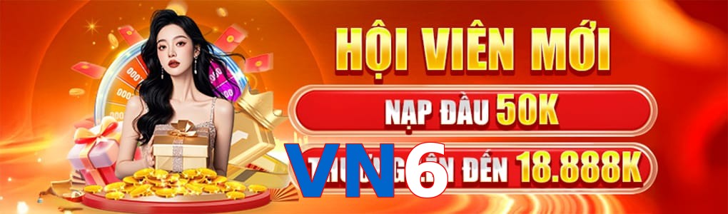 VN6