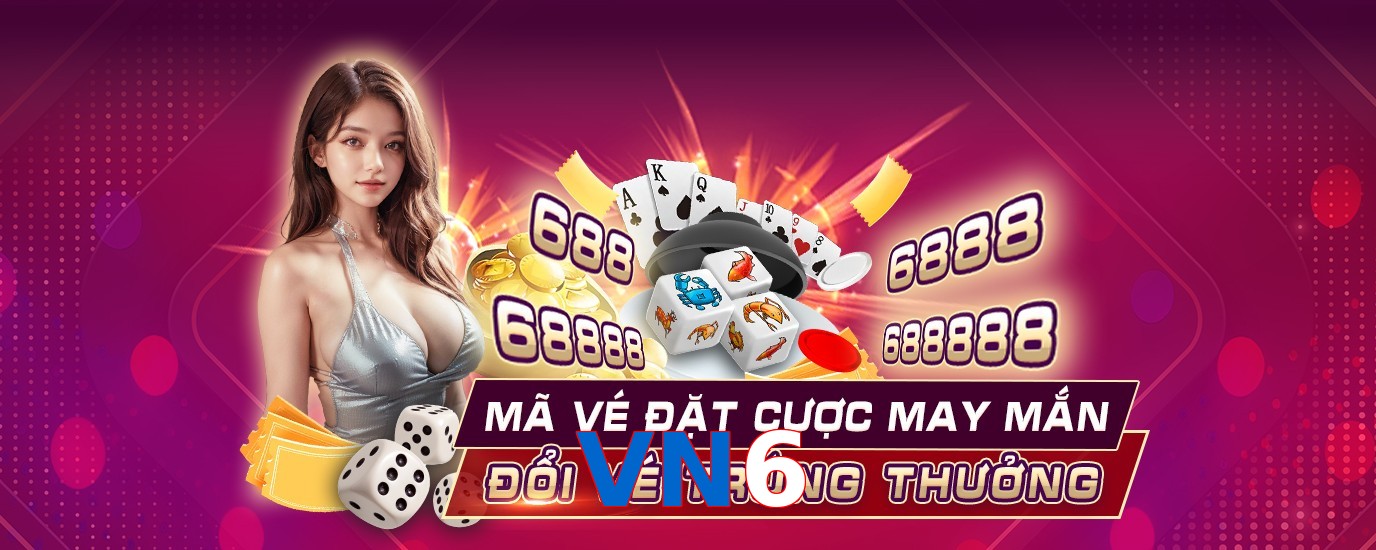 VN6