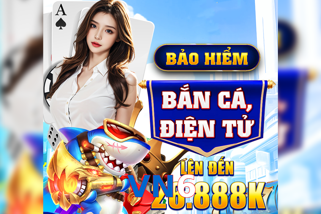 VN6